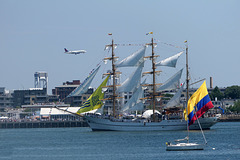 Pride of Ecuador