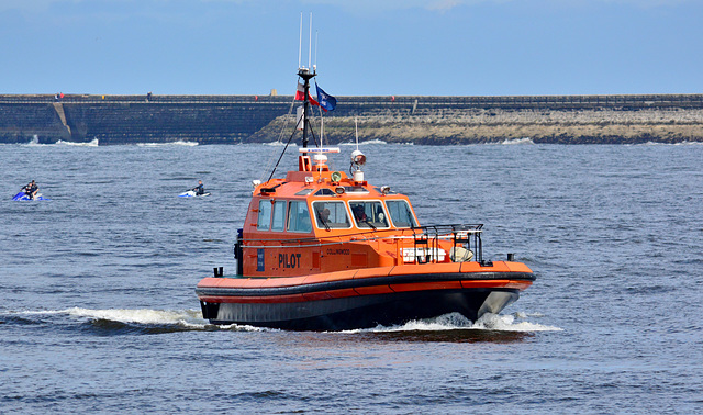 Pilot Boat. Collingwood