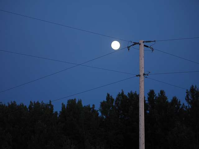 An Evening in Alberta