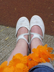 Élo / Des chaussures et un collier de fleur pour gambader léger...