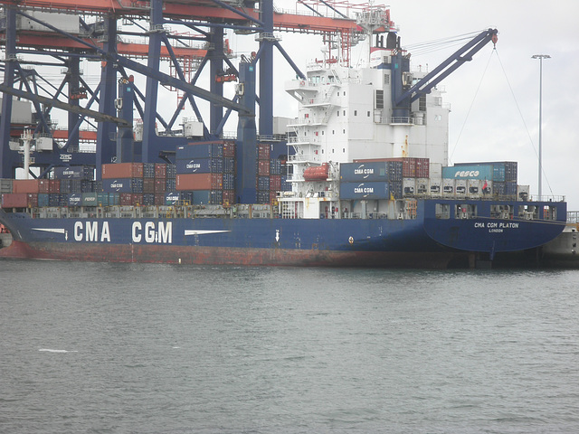 Containerfrachter CMA CGM PLATON