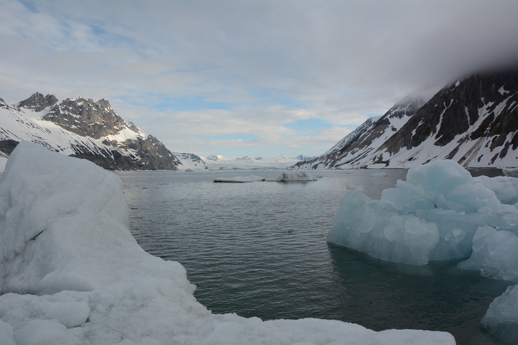 svalbard, floating ice floes in hornsund-fjord