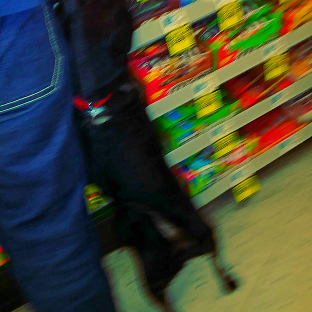 Drug store dog