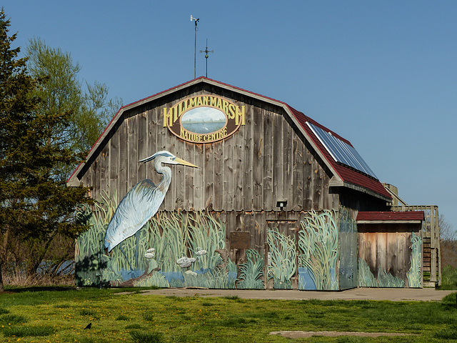 Barn at Hillman Marsh, near Pt Pelee, Ontario