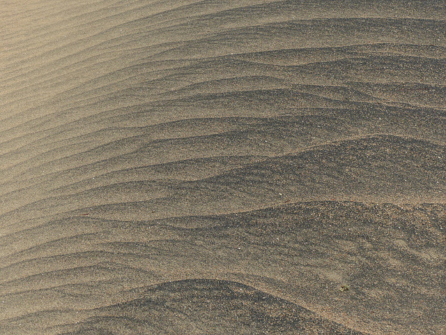 Day 8, sand ripples