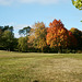 Autumn colours at the Golf Course near Droitwich