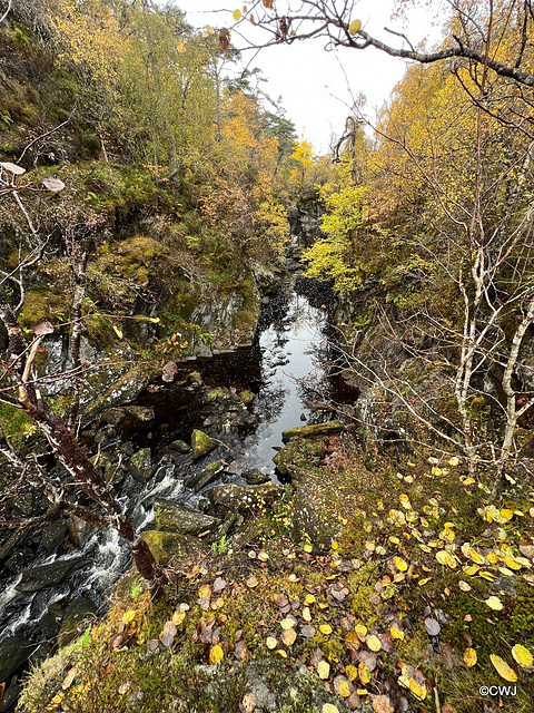 At Dog Falls on the River Affric