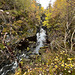 At Dog Falls on the River Affric