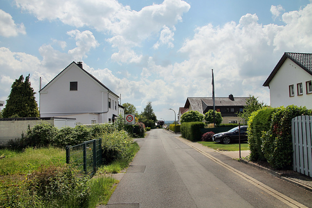 Westfeld (Fröndenberg-Ardey) / 11.06.2022