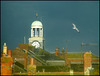 Bridport rooftops