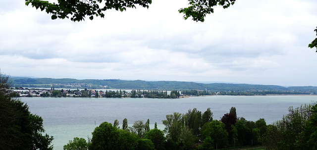 Untersee (Bodensee West), Reichenau, Gnadensee