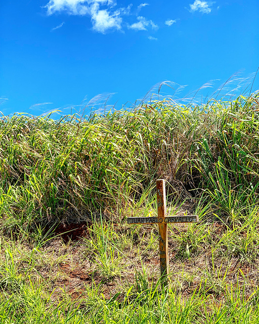 roadside monument