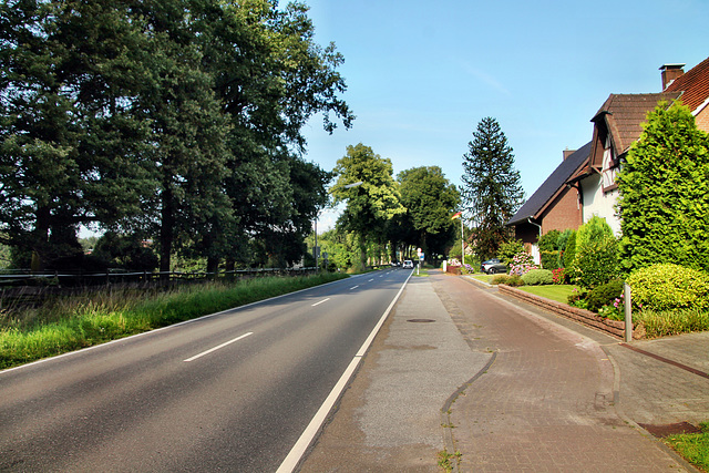 Rhader Straße (Dorsten) / 20.07.2024