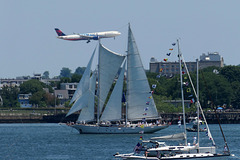 Coming in for a landing
