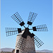 El Cotillo  Casa de la Cilla  - windmill at La Oli