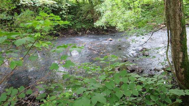 Sirhowy River