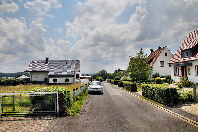 Westfeld (Fröndenberg-Ardey) / 11.06.2022