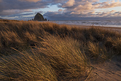 Haystack Among the Dune Grass