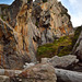 Harris Beach State Park, OR