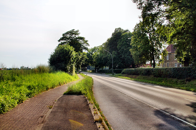 Rhader Straße (Dorsten) / 20.07.2024