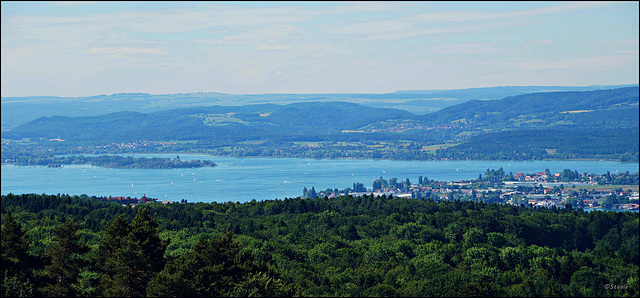 Der Untersee von der Halbinsel Mettnau (links) bis zur Insel Reichenau (rechts i. Bild)