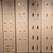 Oman National Museum Flint arrow heads