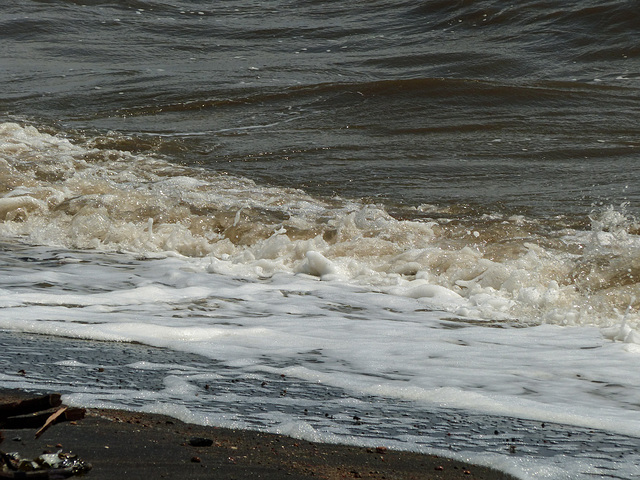 Day 8, river shore, Quebec