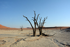 Namibia, Morning at Deadvlei