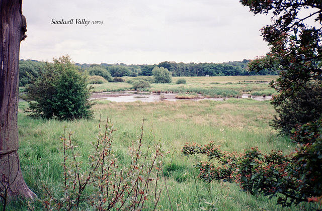 Sandwell Valley (Scan from 1980s)