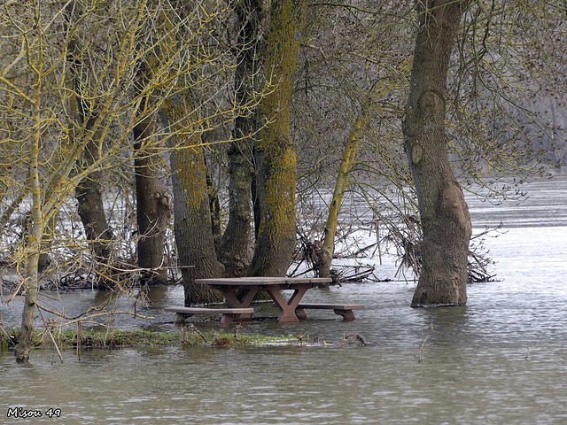 Sainte Gemmes sur Loire