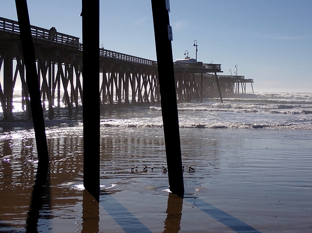 Pismo Beach Pier