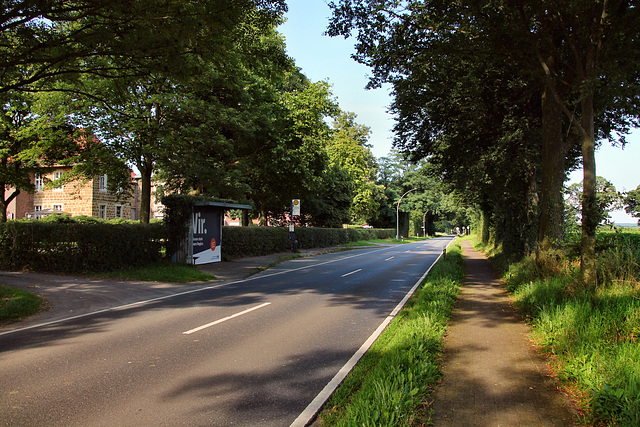 Rhader Straße (Dorsten) / 20.07.2024