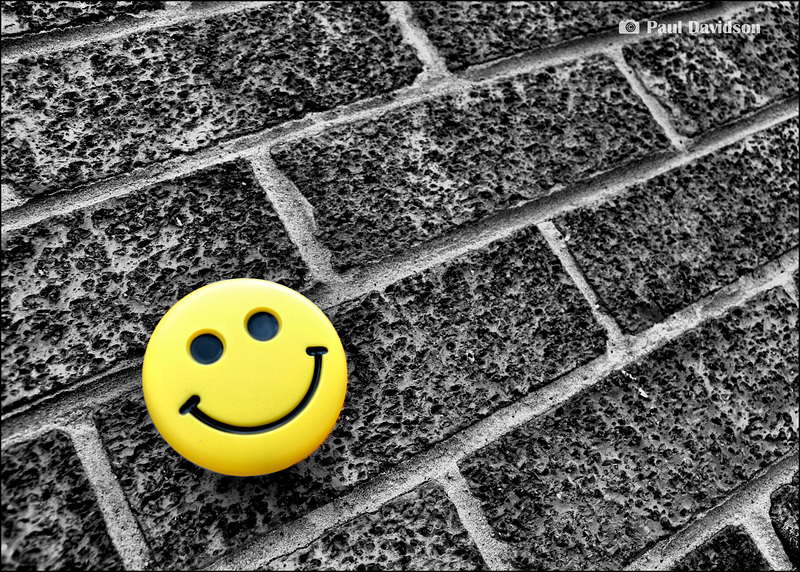 Climbing The Walls ...