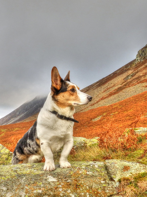 Ieuan on the hills above Crummock Water