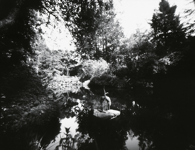 Garden Pond