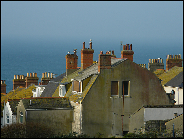 Portland chimneys