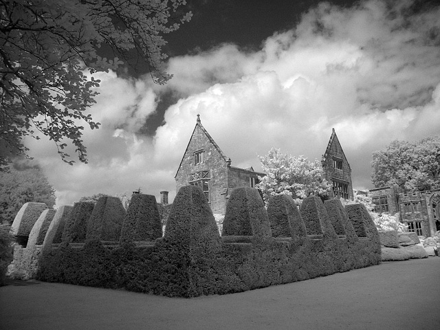 Castellated hedge