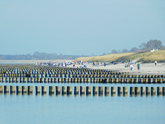 Am Strand von Ahrenshoop