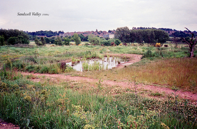 Sandwell Valley (Scan from 1980s)