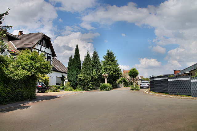 Westfeld (Fröndenberg-Ardey) / 11.06.2022