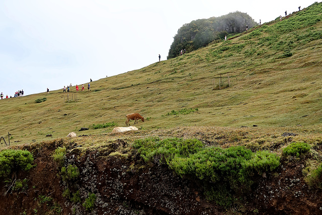 Porto Moniz, Madeira, HWW