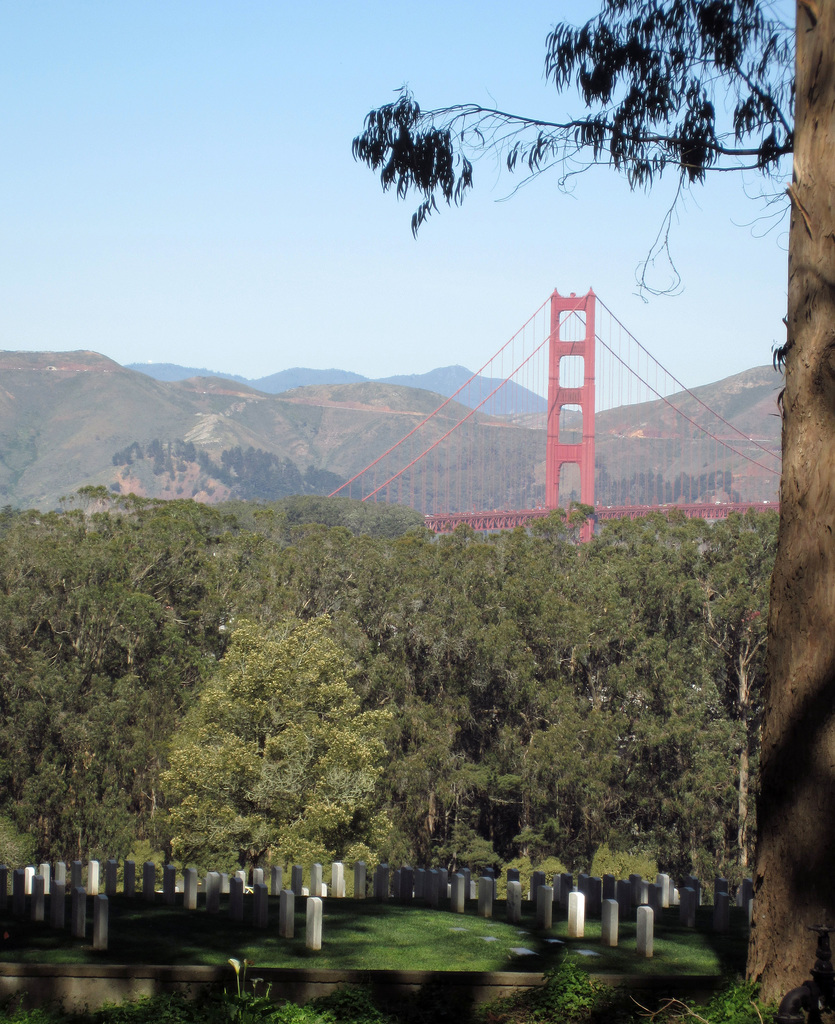 San Francisco National Cemetery & Golden Gate Bridge (3046)