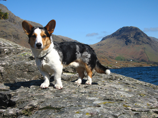 Ieuan, Wastwater