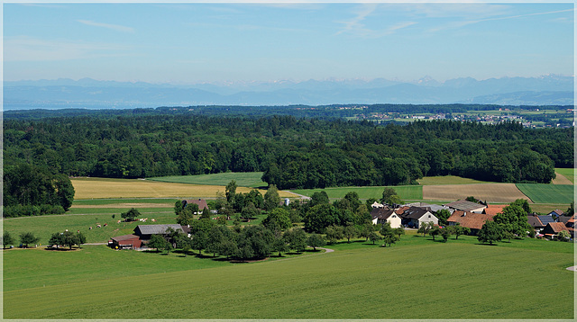 Wäldi (Nordseite) mit dem Bodensee, links im Hintergrund