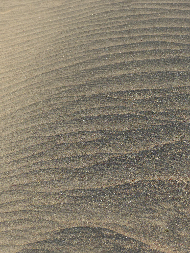 Day 8, sand ripples
