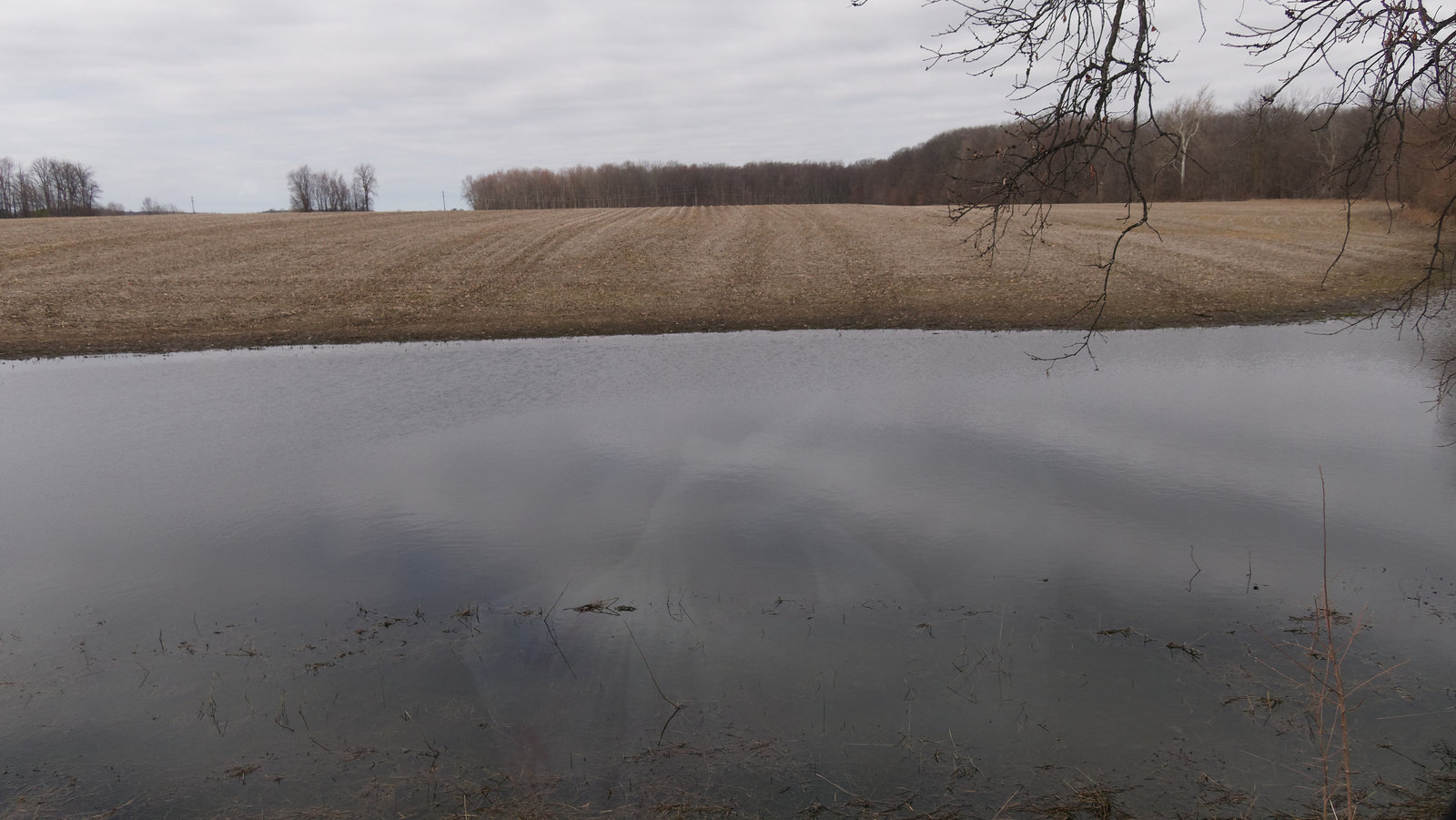 Clouds, Reflection, and Field