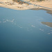 Namibia, Flamingos in the Waters of the Walvis Bay