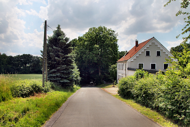 Westfeld (Fröndenberg-Ardey) / 11.06.2022