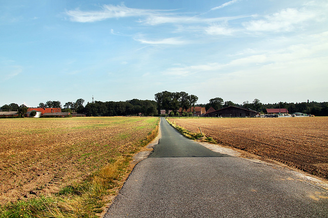 Endelner Weg (Dorsten) / 20.07.2024