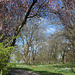 Frühling in der Stadt